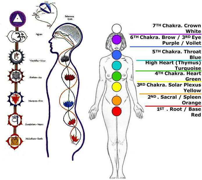 What Are The 7 Chakras of Human Body? - TemplePurohit - Your Spiritual ...