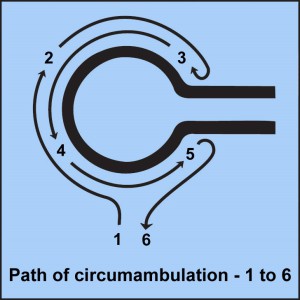 Lord Shiva - Path of Circumbulation