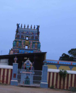 Thiru Vann Purushothamam Perumal temple