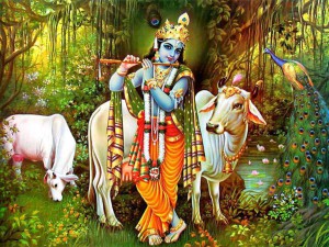 Lord Krishna With Cows - Cow Mantra