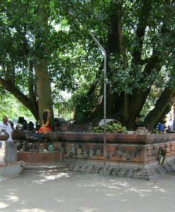 Oachira Parabrahma Temple