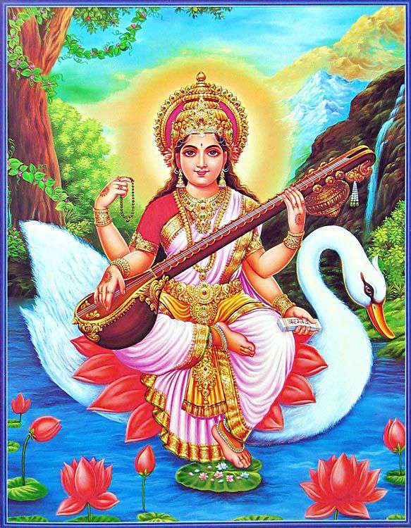 Swan - Hindu God Vahana - Saraswati Devi