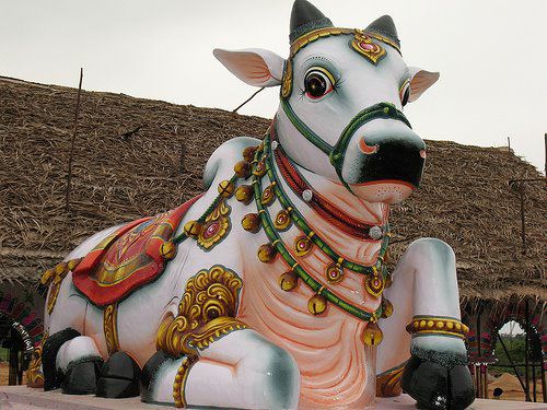 Palli Kondeswarar Temple Suruttapalli Nandi the Bull