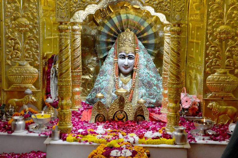 9 - Nau Devi Darshan Tour Package - Mansa Devi