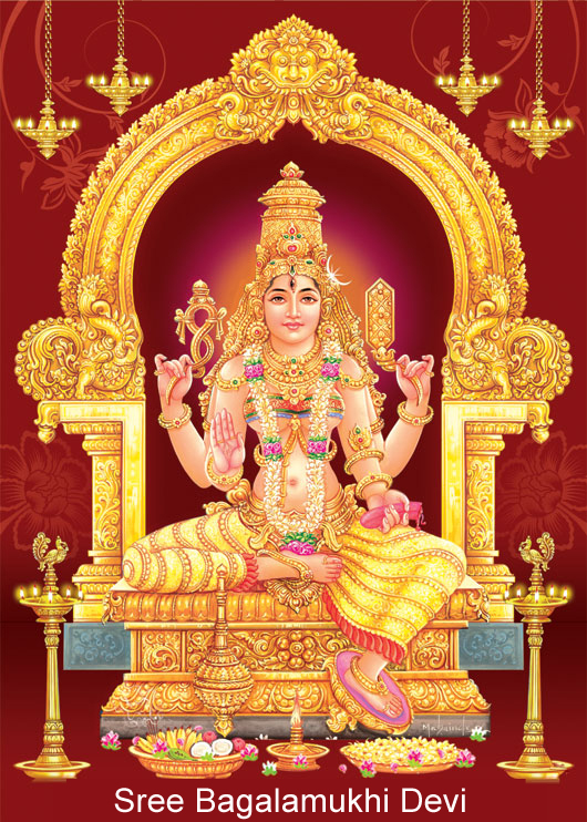 Sree Bagalamukhi Devi Temple, Kallidaikurichi