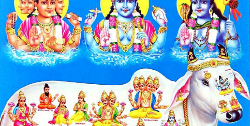 Gomatha in Hinduism - Kamadhenu